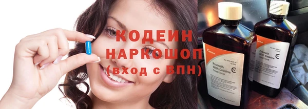 сатива Покачи