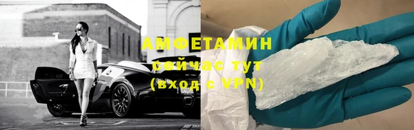 сатива Покачи