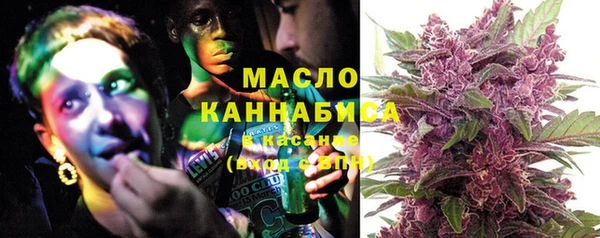 сатива Покачи