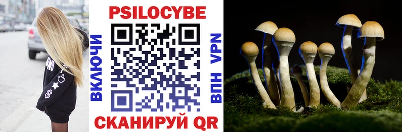 MEGA   Калач  Галлюциногенные грибы мухоморы 