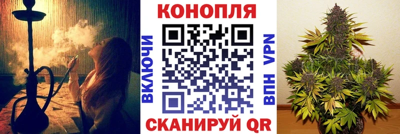 Бошки Шишки ГИДРОПОН Калач